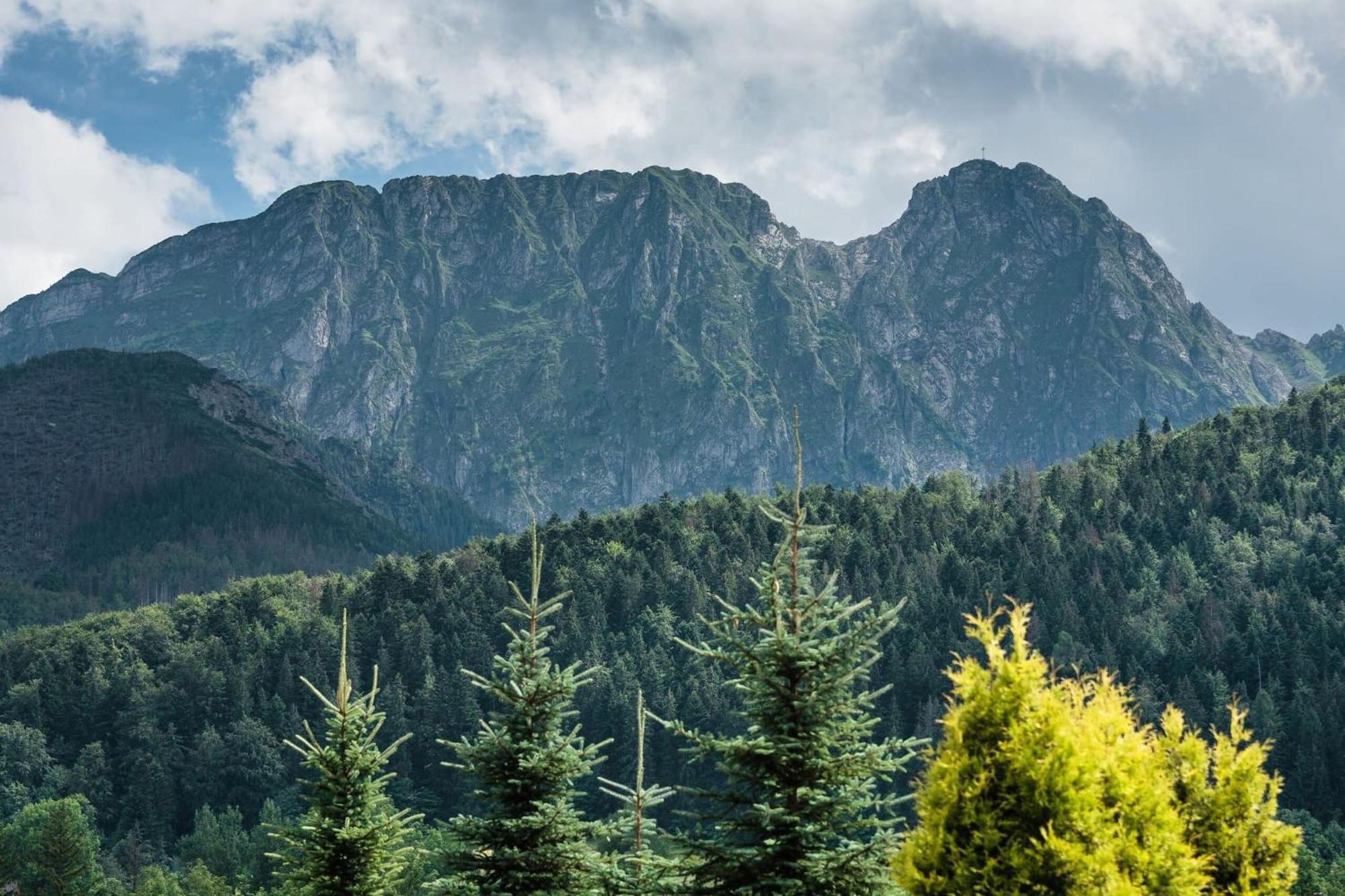 Rent Like Home - Skibowki Zakopane Exterior foto